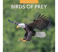 Birds Of Prey - 2026 Square Wall Calendar - by Red Robin Publishing