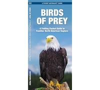 Birds of Prey: A Folding Pocket Guide to Familiar North American Species (A Pocket Naturalist Guide)