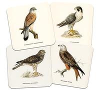 Birds of Prey, Natural History Collection 95mm Square Cork Backed Coaster Set of 4