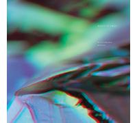 Birds of Prey – Vanishing Point – 12" Vinyl Album