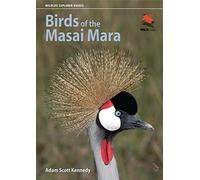 Birds of the Masai Mara (Wildlife Explorer Guides)