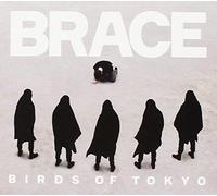Birds Of Tokyo – Brace – CD – Universal Billard
