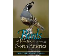 Birds of Western North America: A Photographic Guide (Princeton Field Guides): 56