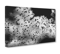 Birds On The Move Canvas Print | Gallery Wrapped 30mm Frame Wall Art | 24x16 inches | Ready to Hang | Modern Bird Picture | Living Room Bedroom Lounge Office