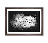 Birds on The Move Paint Splash Framed Print | A2 Walnut Framed Wall Art | Ready to Hang | Modern Nature Picture | Living Room Bedroom Lounge Office