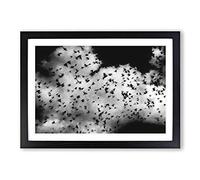 Birds on The Move Painting Framed Print | A2 Black Framed Wall Art | Ready to Hang | Modern Historical Picture | Living Room Bedroom Lounge Office