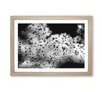 Birds on The Move Painting Framed Print | A2 Oak Framed Wall Art | Ready to Hang | Modern Historical Picture | Living Room Bedroom Lounge Office