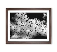 Birds On The Move Painting Modern Art Framed Print | A2 Walnut Framed Wall Art | Ready to Hang | Modern Historical Picture | Living Room Bedroom Lounge Office