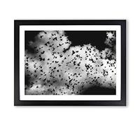Birds On The Move Painting Modern Art Framed Print | A3 Black Framed Wall Art | Ready to Hang | Modern Historical Picture | Living Room Bedroom Lounge Office