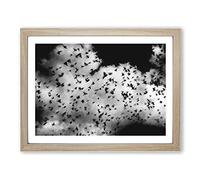 Birds On The Move Painting Modern Art Framed Print | A3 Oak Framed Wall Art | Ready to Hang | Modern Historical Picture | Living Room Bedroom Lounge Office