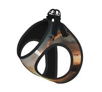 Birds Print Step in Dog Harness and Leash Set,Mesh Pet Vest Harness for Small Dogs and Cats