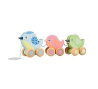Birds Pull Along Toy - Animal Push and Pull Along Toys for 1 Year Olds, Toddler, Wooden Walker Toys - 1st Birthday Gifts for Baby Boys and Girls - Early Development & Activity Toys by Orange Tree Toys