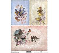 Birds Rice Paper R0212-1 x A4 Sheet of decoupage Rice Paper