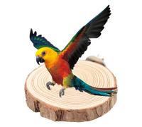 Birds Round Perch Platform, Round Wooden Springboard Parrot Perches Stand for Small Parakeets Cockatiels Hamster Gerbil Rat Mouse (10cm)
