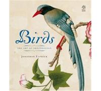 Birds: The Art of Ornithology (Mini Titles)