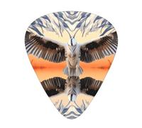Birds with open wings printed guitar picks, 12-piece set with thin, medium, and thick styles, comes with a storage case
