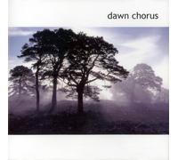 Birdsong - Dawn Chorus
