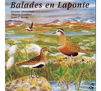 Birdsong - Lapland walks