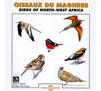 Birdsong - Oiseaux Du Maghreb (Birds Of N.W. Africa)