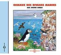 Birdsong - Sounds of Nature: Sea Shore Birds