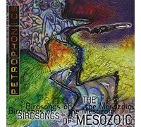 Birdsongs Of The Mesozoic - Petrophonics
