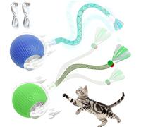BIRDTOBR Interactive Cat Toy Electric Ball