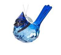 Birdwatcher Gift, Stunning Blue Jay Sparkling Suncatcher, Acrylic Ornament - A Perfect Bird Gift with 2026 Charm & Suction Cup - Stunning Acrylic Bird Suncatcher, Blue Jay Car Charm