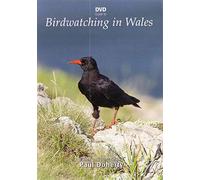 Birdwatching In Wales