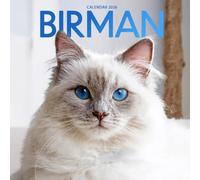 Birman Cat 2026 Calendar: Sacred Cats of Burma and Gentle Companions