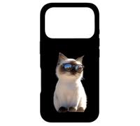Birman Cat Sacred Cat of Burma Cats Cute Birman Cats Case for iPhone 17 Pro