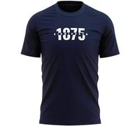Birmingham 1875 Mens T Shirt Retro Blue Wembley Trophy Tee Football Supporter
