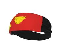 Birmingham City Flag Headbands for Women Men Headband Wicking Athletic Swe