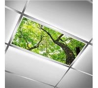 BIROSVSY Fluorescent Light Covers for Classroom Ceiling Lights - 2x4ft Backlit Film for Fluorescent Fixtures, Easy to Install - School, Office, Sensory, Improve Focus, Eliminate Headaches - Big tree