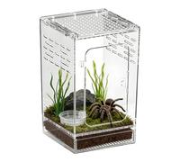 Birtern Jumping Spider Enclosure,Acrylic Full Transparency Breathable Terrarium | Jumping Spider Frog Enclosure,for Lizards Snails Frogs Snakes Hermit Crabs