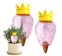 Birtern Self-Watering Globes, 2X Self-Watering Spikes for Indoor Plants, Slow Release Waterer Supplies for Gardening Houseplants Succulents Vegetables