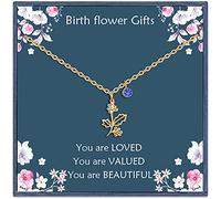 Birth Flower Necklaces Birthday Gifts for Women | 14K Plated Birth Month Floral Birthstone Pendant Necklaces Wildflower Flowered Jewelry Gifts for Mom Friends