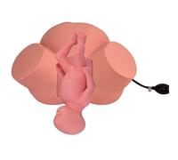 Birth Midwifery Training Model Simulator, Birth Simulator Life Size Childbirth Manikin Midwifery Training Model Obstetrics and Gynecology Delivery Simulator for Nursing Medical Teaching Education