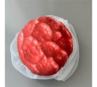Birth Midwifery Training Model Simulator, Childbirth Demonstration Pelvic Model, Fetus/Umbilical Cord/Placenta-Childbirth Simulator, for Obstetrics Gynecology Patient Communication & Education.(A)