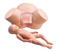 Birth Midwifery Training Model Simulator, Demonstration Female Childbirth Manikin Female Pelvic Fetus Mannequin For Teaching Pratice