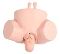 Birth Midwifery Training Model Simulator, Gynecology Delivery Demonstration Model, Training Model Simulator,for Gynecology Teaching,Medical Fertility Education And Learning