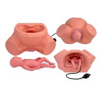 Birth Simulator Life Size Delivery Model for Nursing Medical Training with Standard Size Baby Model