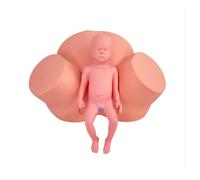 Birth Simulator Midwifery Training Model, Life Size Female Childbirth Demonstration Pregnancy Labor Simulator For Obstetrics And Gynecology Nursing Medical Teaching Tool