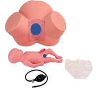 Birth Simulator Model - Advanced Midwifery Training Childbirth Simulator,Obstetric Training Manikin with Normal & Abnormal Fetal Positions, Baby Model & Female Pelvis for Midwifery Study