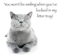Birthday/Blank Greeting Card For Him/Her - Male/Female - Cute Photographic Funimals Mischievous Pets - General Card Suitable for Any Occasion - Made in the UK - Eco-Friendly (Litter Tray Cattitude)
