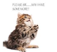 Birthday/Blank Greeting Card For Him/Her - Male/Female - Cute Photographic Funimals Mischievous Pets - General Card Suitable for Any Occasion - Made in the UK - Eco-Friendly (Feed Me Kitty Cat)