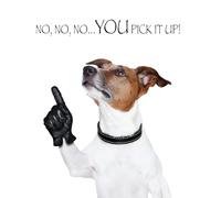 Birthday/Blank Greeting Card For Him/Her - Male/Female - Cute Photographic Funimals Mischievous Pets - General Card Suitable for Any Occasion - Made in the UK - Eco-Friendly (Poo Pickup)