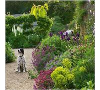 Birthday/Blank Greeting Card For Him/Her - Male/Female - Dog in Flower Garden - BBC Gardeners' World Range - General Card Suitable for Any Occasion - Eco-Friendly