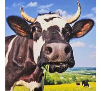 Birthday/Blank Greeting Card For Him/Her - Male/Female - Photographic Wildlife Snapshot Design - General Card Suitable for Any Occasion - Made in the UK - Eco-Friendly (Holstein Cow)