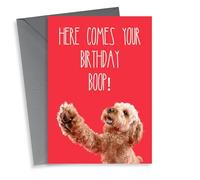 Birthday Boop Cockapoo Dog Card 1001