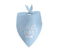 Birthday Boy 2025 Dog Bandana Boy Birthday Bandana for Large Medium Small Cats Dogs Happy Birthday Gifts Photo Prop Pet Scarf Accessories Christmas Puppy Gifts